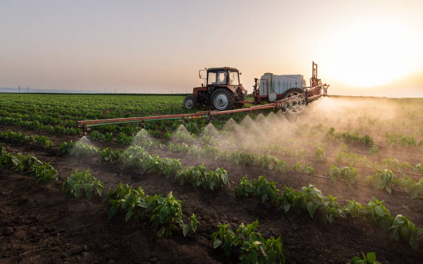 Best Pest Prevention Services  in Gladwin, MI