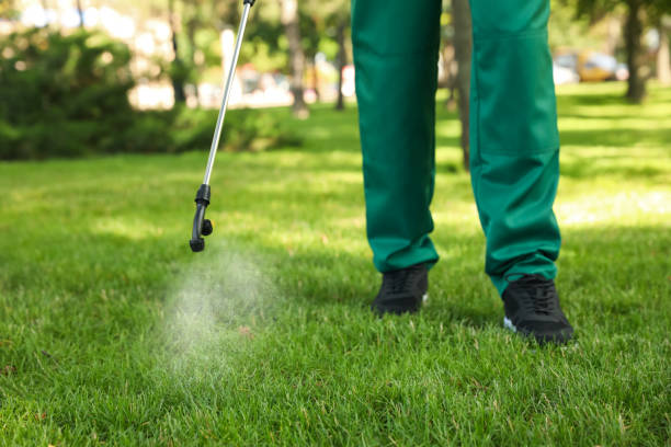  Gladwin, MI Pest Control Pros