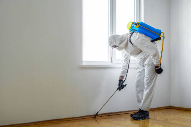 Best Spider Control Near Me  in Gladwin, MI