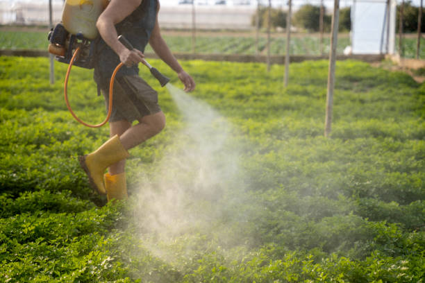 Best Affordable Pest Control Services  in Gladwin, MI