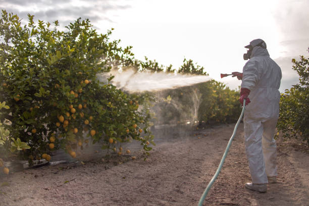 Best Best Pest Control Companies  in Gladwin, MI