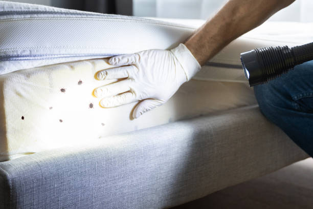 Best Pest Control Near Me  in Gladwin, MI