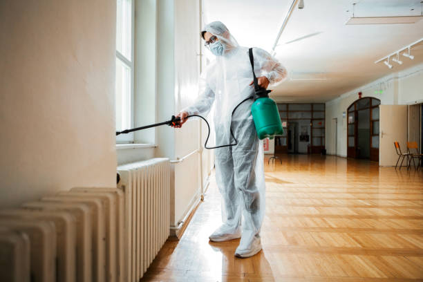 Best Cockroach Control Services  in Gladwin, MI
