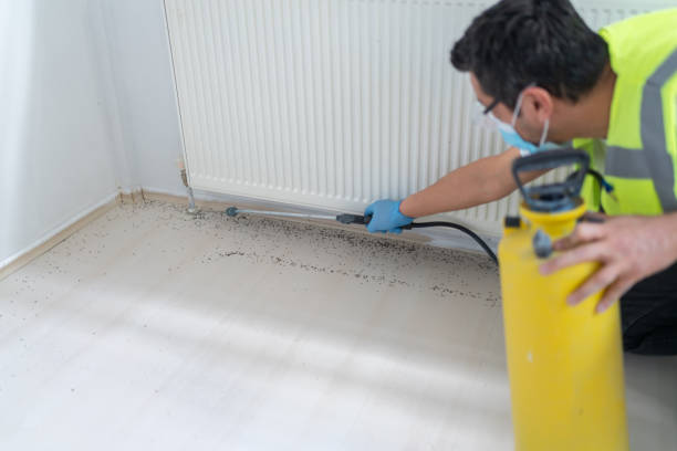 Best Commercial Pest Control Services  in Gladwin, MI
