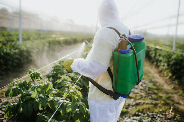 Best Residential Pest Control  in Gladwin, MI